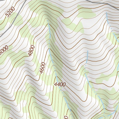 46121NE Page 96 Mount Rainier Topo Preview 3