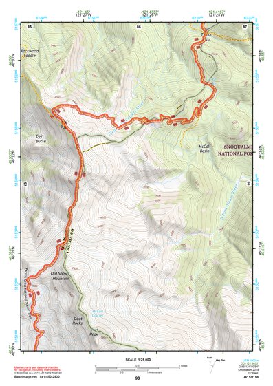 46121NE Page 98 Mount Rainier Topo Preview 1
