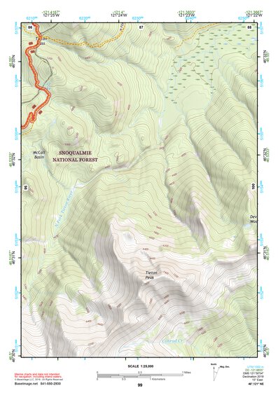 46121NE Page 99 Mount Rainier Topo Preview 1