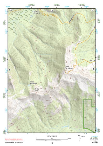 46121NE Page 100 Mount Rainier Topo Preview 1