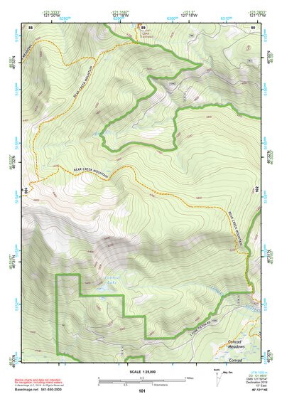 46121NE Page 101 Mount Rainier Topo Preview 1