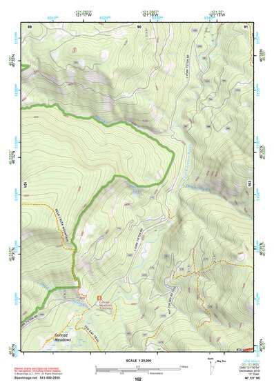 46121NE Page 102 Mount Rainier Topo Preview 1
