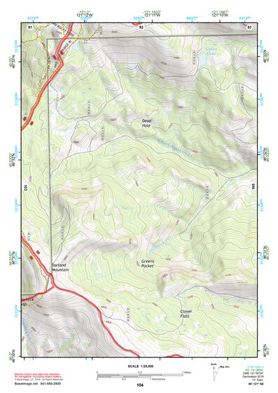 46121NE Page 104 Mount Rainier Topo Preview 1