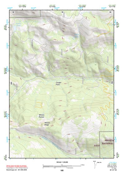 46121NE Page 105 Mount Rainier Topo Preview 1