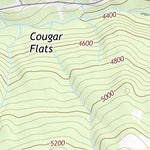 46121NE Page 105 Mount Rainier Topo Preview 2