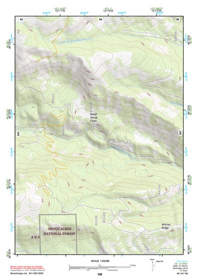46121NE Page 106 Mount Rainier Topo Preview 1