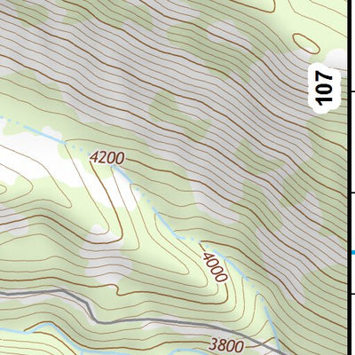 46121NE Page 106 Mount Rainier Topo Preview 3