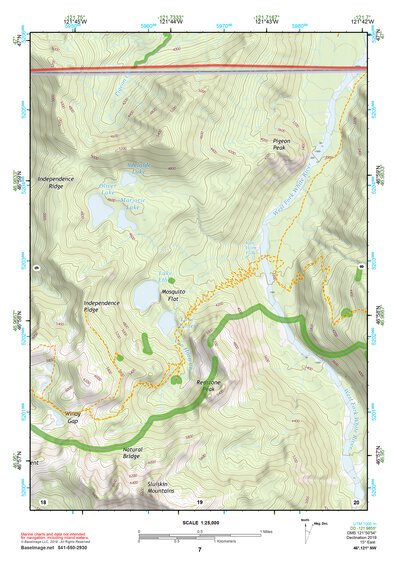 46121NW Page 7 Mount Rainier Topo Preview 1