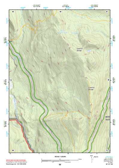 46121NW Page 58 Mount Rainier Topo Preview 1