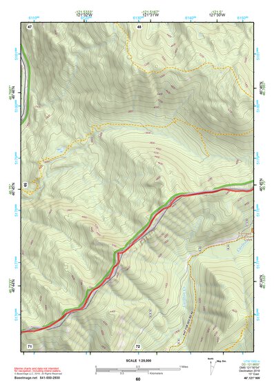 46121NW Page 60 Mount Rainier Topo Preview 1