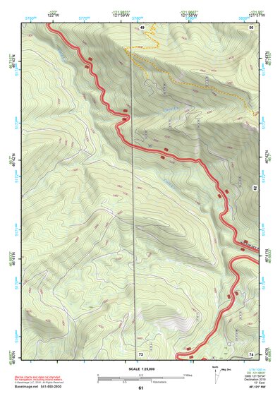 46121NW Page 61 Mount Rainier Topo Preview 1