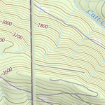 46121NW Page 61 Mount Rainier Topo Preview 2