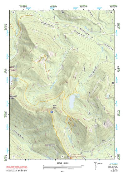46121NW Page 63 Mount Rainier Topo Preview 1