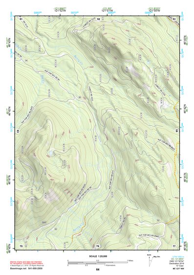 46121NW Page 64 Mount Rainier Topo Preview 1