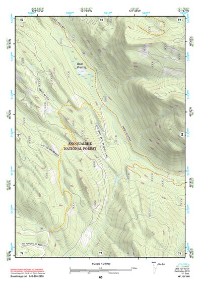 46121NW Page 65 Mount Rainier Topo Preview 1