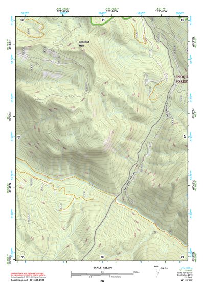 46121NW Page 66 Mount Rainier Topo Preview 1