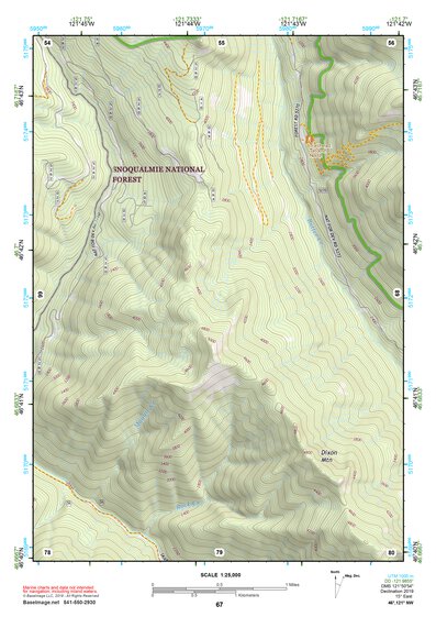46121NW Page 67 Mount Rainier Topo Preview 1