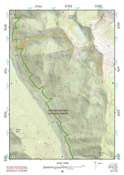 46121NW Page 68 Mount Rainier Topo Preview 1
