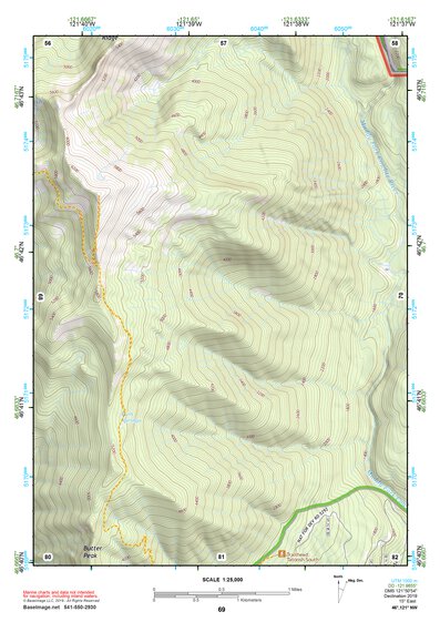 46121NW Page 69 Mount Rainier Topo Preview 1