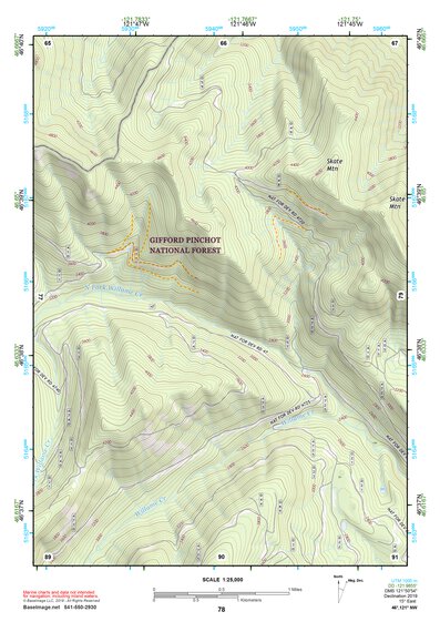 46121NW Page 78 Mount Rainier Topo Preview 1