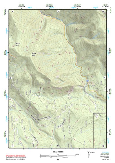 46121NW Page 79 Mount Rainier Topo Preview 1