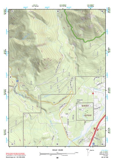 46121NW Page 80 Mount Rainier Topo Preview 1