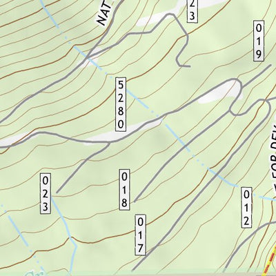 46121NW Page 80 Mount Rainier Topo Preview 2