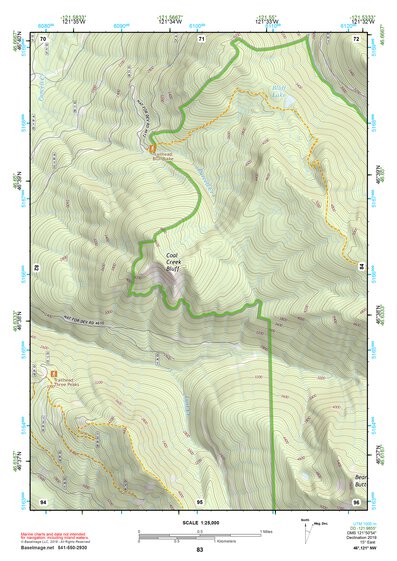 46121NW Page 83 Mount Rainier Topo Preview 1