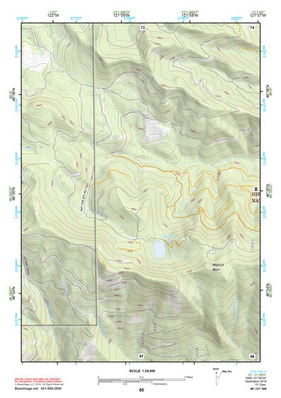 46121NW Page 85 Mount Rainier Topo Preview 1