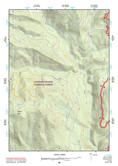 46121NW Page 86 Mount Rainier Topo Preview 1