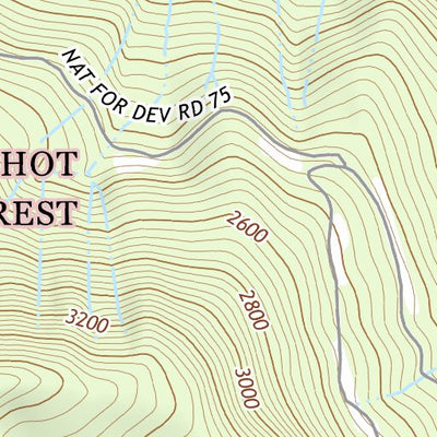 46121NW Page 86 Mount Rainier Topo Preview 2