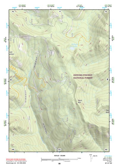 46121NW Page 89 Mount Rainier Topo Preview 1