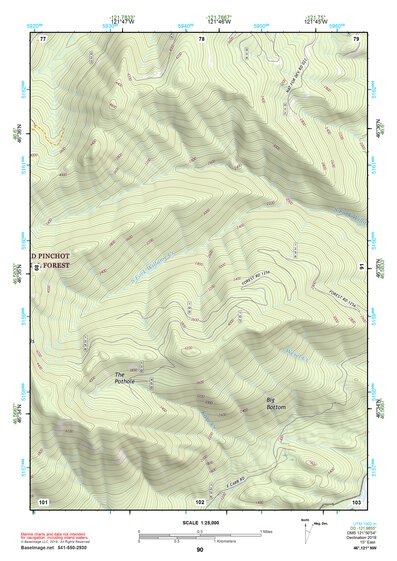 46121NW Page 90 Mount Rainier Topo Preview 1