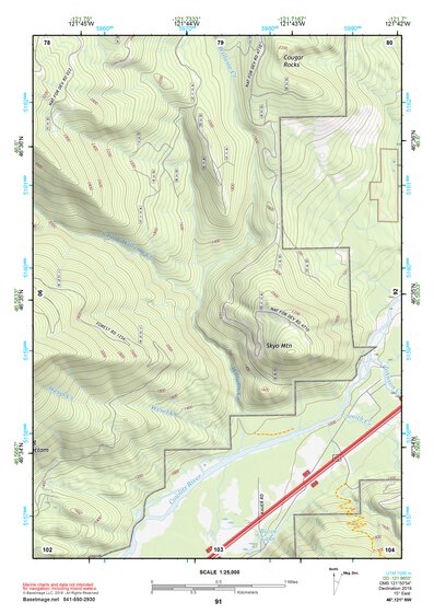 46121NW Page 91 Mount Rainier Topo Preview 1