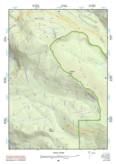 46121NW Page 94 Mount Rainier Topo Preview 1