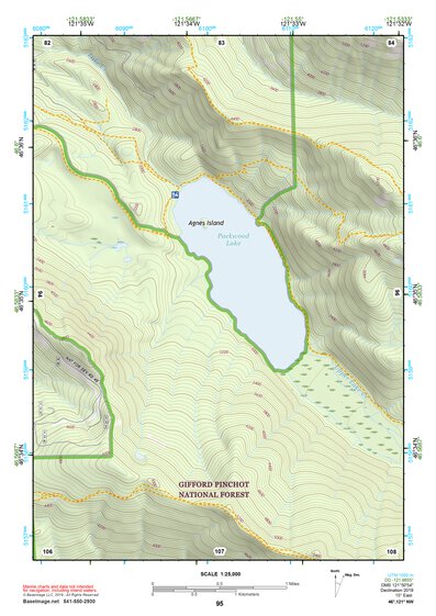 46121NW Page 95 Mount Rainier Topo Preview 1