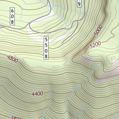 46121SW Page 7 Mount Adams Topo Preview 2