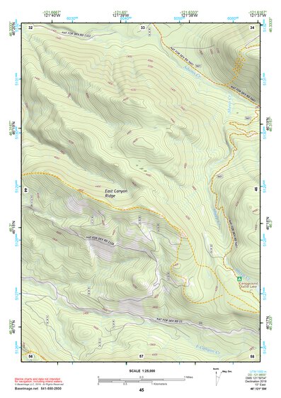 46121SW Page 45 Mount Adams Topo Preview 1