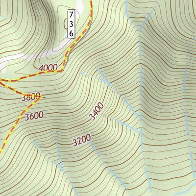 46121SW Page 50 Mount Adams Topo Preview 3