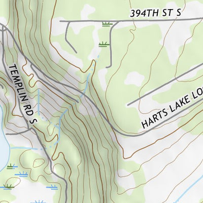 46122NE Page 14 Centralia Topo Preview 3