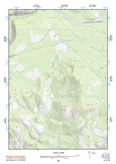 46122NE Page 20 Centralia Topo Preview 1