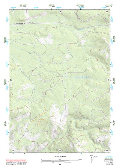 46122NE Page 21 Centralia Topo Preview 1