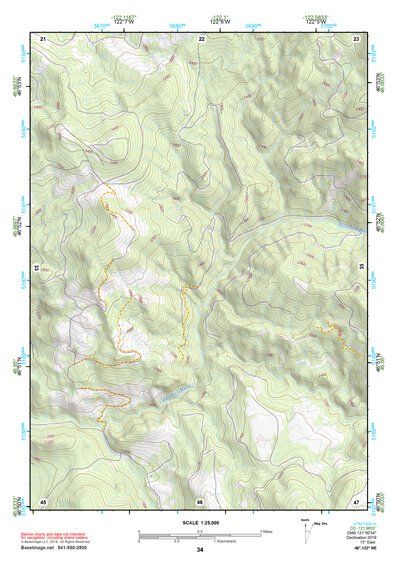 46122NE Page 34 Centralia Topo Preview 1