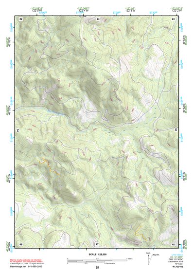 46122NE Page 35 Centralia Topo Preview 1