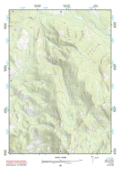 46122NE Page 36 Centralia Topo Preview 1