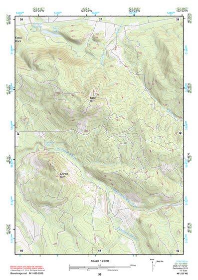 46122NE Page 39 Centralia Topo Preview 1