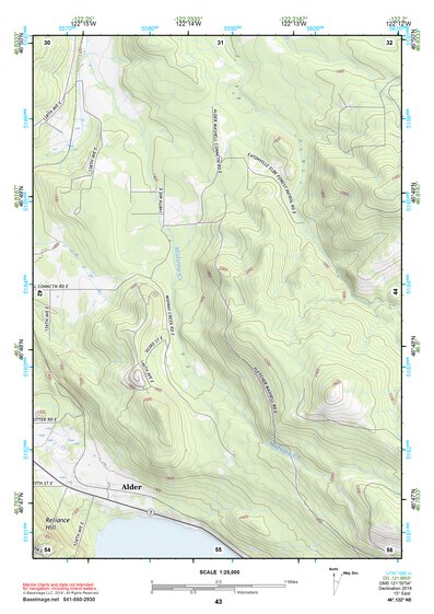 46122NE Page 43 Centralia Topo Preview 1