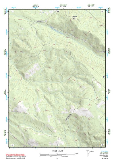 46122NE Page 44 Centralia Topo Preview 1