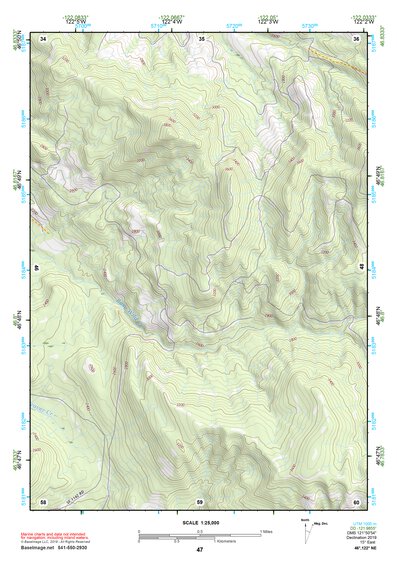 46122NE Page 47 Centralia Topo Preview 1