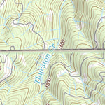 46122NE Page 50 Centralia Topo Preview 2